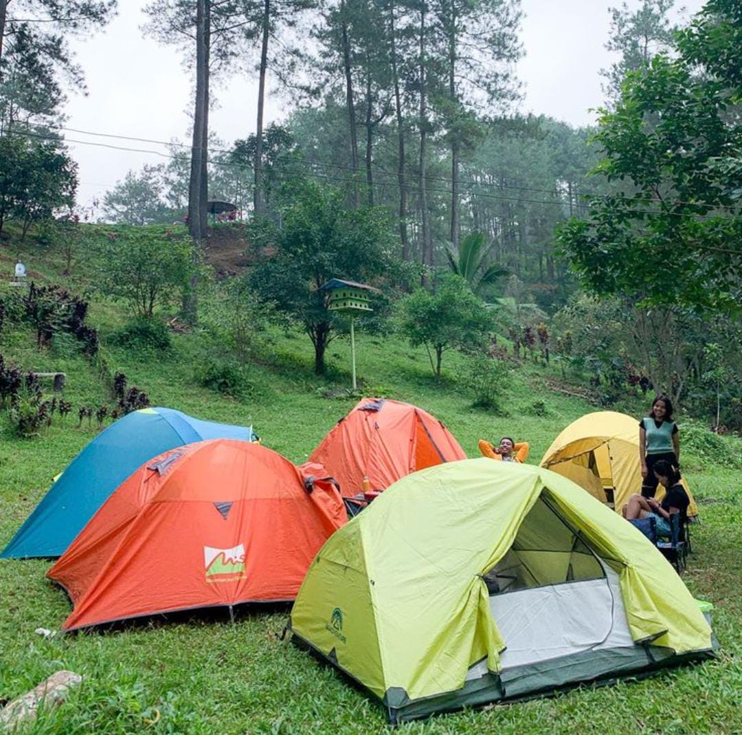 Campamento en ladera tropical